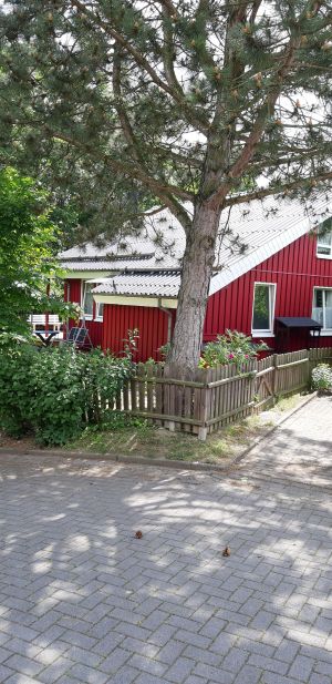 Bild 6: Waldhaus in Weserbergland/Extertal bis 5 Personen-mit Sauna. Hund erlaubt