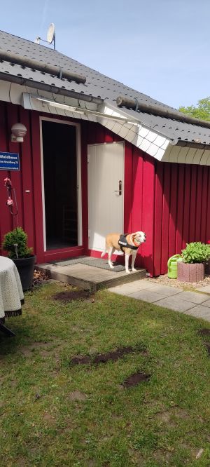 Bild 5: Waldhaus in Weserbergland/Extertal bis 5 Personen-mit Sauna. Hund erlaubt