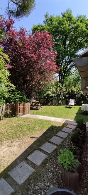 Bild 4: Waldhaus in Weserbergland/Extertal bis 5 Personen-mit Sauna. Hund erlaubt