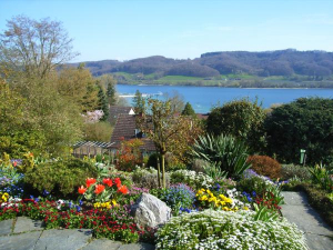 Bild 3: Traumhafte Bodensee Ferienwohnung - Wilhelmina Hangarter
