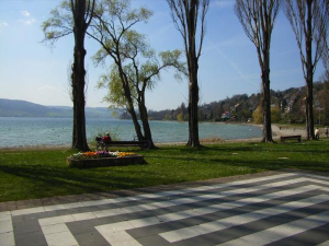 Bild 14: Traumhafte Bodensee Ferienwohnung - Wilhelmina Hangarter