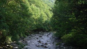 Bild 15: Ferienwohnung BAUER Thale / Harz