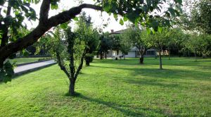 Bild 14: Ferienvilla Fischer mit Privatsphäre in reizvoller Umgebung