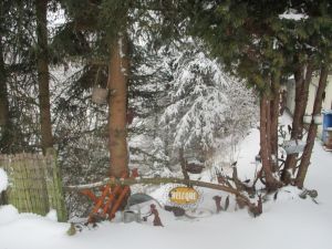 WELCOME: Aufgang zur WALDTERRASSE