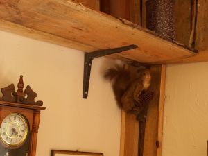 Bild 10: Die Zwergen-Mühlenkammer,urig, klein und fein so soll es sein- kommt rein !