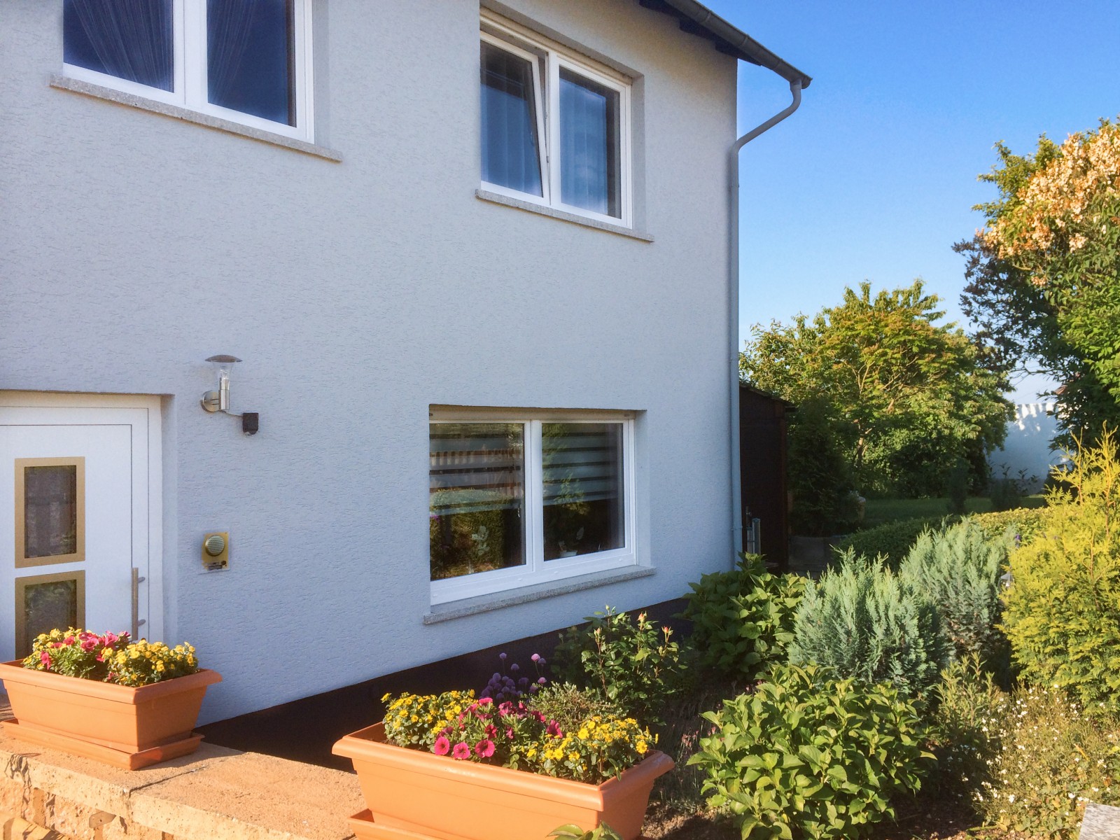 Tolles vier Sterne und vier Pfoten Ferienhaus im Hunsrück, Hunde