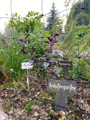 Kräutergarten Bild 24: Tolles vier Sterne und vier Pfoten Ferienhaus im Hunsrück, Hunde willkommen