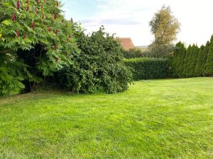 Und noch eine Wiese Unser Garten ist komplett eingezäunt
