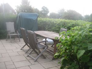 Bild 7: Ferienwohnung mit Deichblick!