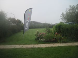 Bild 6: Ferienwohnung mit Deichblick!