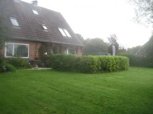 Bild 8: Ferienwohnung mit Deichblick!