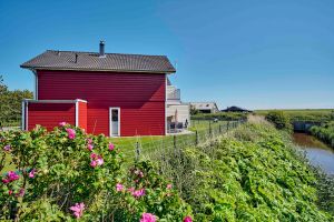 Bild 19: 5*Ferienobjekt "Nordspitze", Urlaub mit Hund, Kamin, Sauna, - 5 P., Nordsee