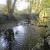 Galeriebild 4