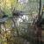 Galeriebild 3