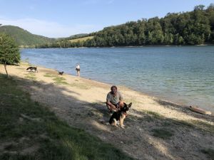Schöner HUNDESTRAND ( ca. 20km )am Diemelsee. Natur pur.
