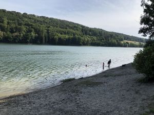 Der Diemelsee ist neben dem Möhnesee & dem Hennesee einer der schönsten Seen im NATURPARK.
