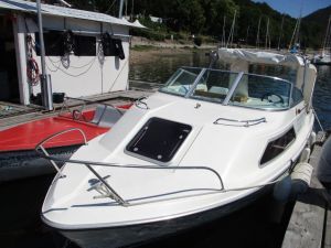 Sie können sich Elektro - oder Ruderboote hier ausleihen.