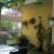 Galeriebild 3