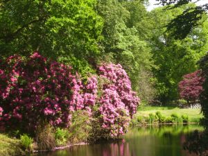Bild 12: Fewo Austernfischer, gemütlich, ruhig gelegen, strandnah, bis 3 Pers., Hund