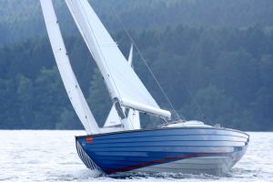 Bild 10: Ferienwohnung mit Terrasse am Möhnesee, Garten, Liegewiese und Grillkamin