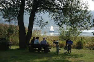 Bild 19: Ferienwohnung mit Terrasse am Möhnesee, Garten, Liegewiese und Grillkamin