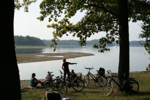Bild 20: Ferienwohnung mit Terrasse am Möhnesee, Garten, Liegewiese und Grillkamin