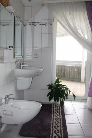 Das Badezimmer hat ein Waschbecken, ein Bidet, eine grosse Dusche, eine Badewanne und eine grosse Sauna.