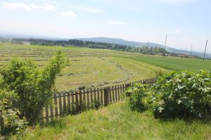 Der Garten ist zur alleinigen Nutzung für die Gartenwohnung