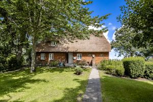 Bild 9: Reet-Ferienhaus in Emmelsbüll-Horsbüll