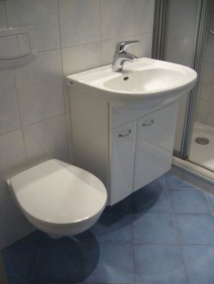 Bad mit Dusche, WC, Waschtisch,Waschmaschine und Handtuchheizkörper.