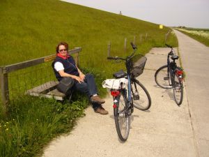 Gut ausgebautes Radwegenetz in der gesamten Umgebung.