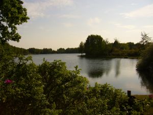 Der Kiessee liegt in unmittelbarer Nähe zum Ferienhaus.