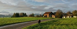 Bild 14: Ferienhaus 65 in Lechbruck am See / Allgäu