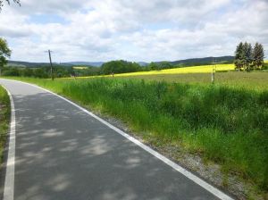 Fahradweg durch das Cunewalder Tal