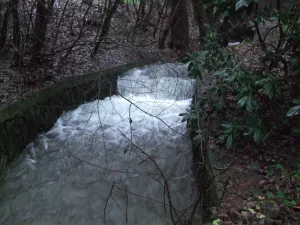 Bild 15: Schönes Ferienappartement im Sauerland