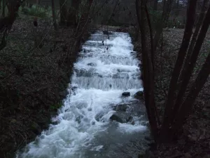 Bild 2: Schönes Ferienappartement im Sauerland
