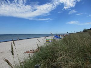 Bild 18: EG Ferienwohnung 80 m zum Strand in Juliusruh, 9 km Sandstrand