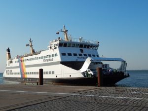 Bild 19: 5*Ferienobjekt "Trottellumme", Urlaub mit Hund, Kamin, Sauna, - 5 P,Nordsee