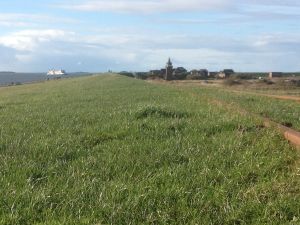 Bild 20: 5*Ferienobjekt "Trottellumme", Urlaub mit Hund, Kamin, Sauna, - 5 P,Nordsee