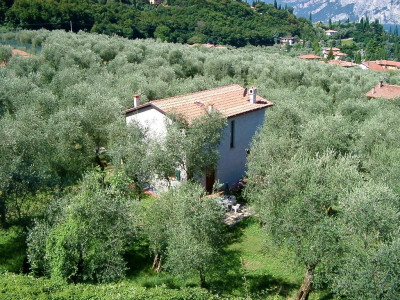 Ferienwohnung in Malcesine: Ferienhaus LAURA in Malcesine in einem 2500 m² großen Olivenhain