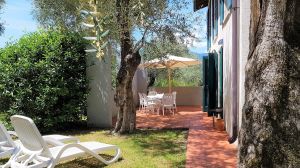 Bild 20: Ferienhaus Laura in Malcesine in einem 2500 m² großen Olivenhain