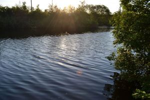 Blick auf den Bahnkolk gegenüber dem Haus