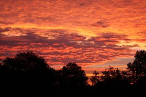 Der wunderschöne Anblick ist leider nur für Frühaufsteher!