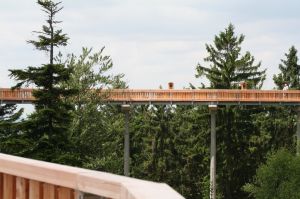 Eine Attraktion ist der Baumwipfelweg bei St. Englmar. Er ermöglicht einen Spaziergang in luftiger Höhe mit hervorragender Aussicht. Auch Hunde dürfen hier mitgenommen werden !