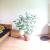 Galeriebild 3