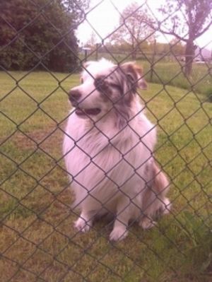 Major Tom hält Ausschau