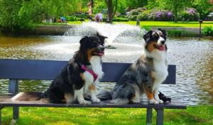 Anny und Luna Sheperd