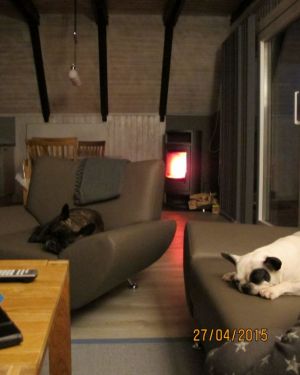 Bild 7: Ferienhaus Dorumer Uhlenhorst - Urlaub mit Hund an der Nordsee