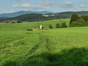 Bild 38: Ferienhaus Degenhardt - Im Urlaub und doch zu Hause