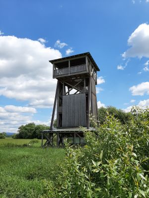Blick über Naturschutzgebiet